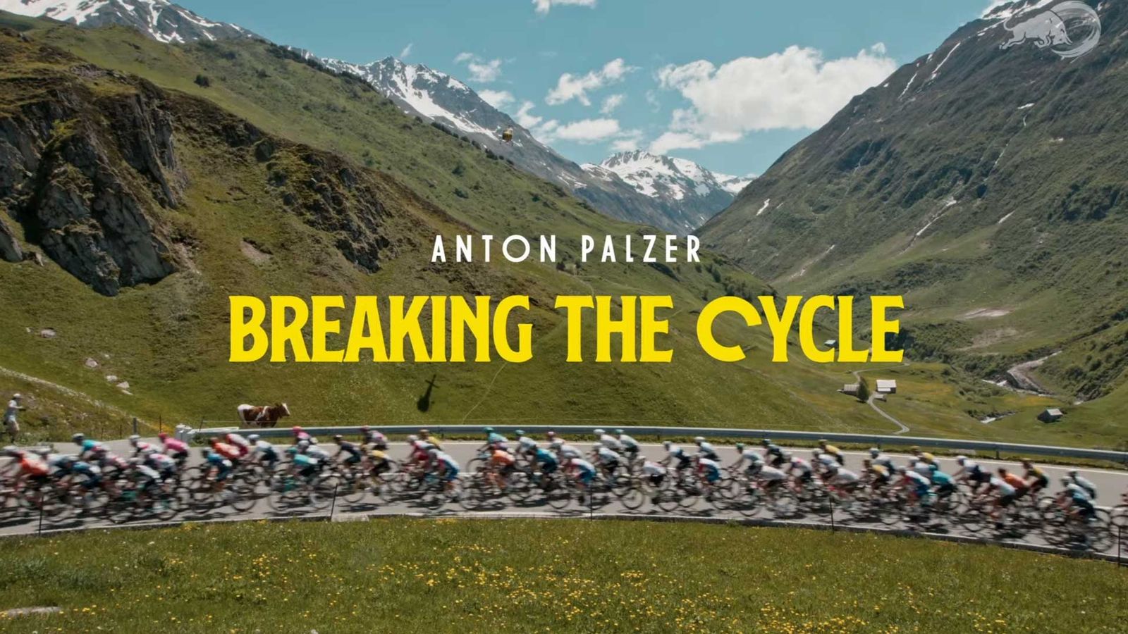 referenz_antonpalzer